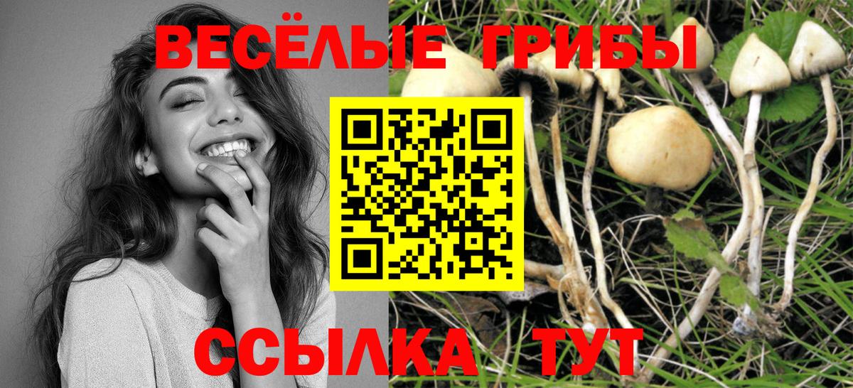 Галлюциногенные грибы MAGIC MUSHROOMS Учалы
